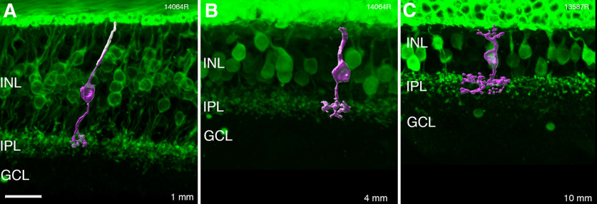 Figure 5.