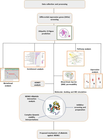 graphic file with name ao2c07904_0009.jpg