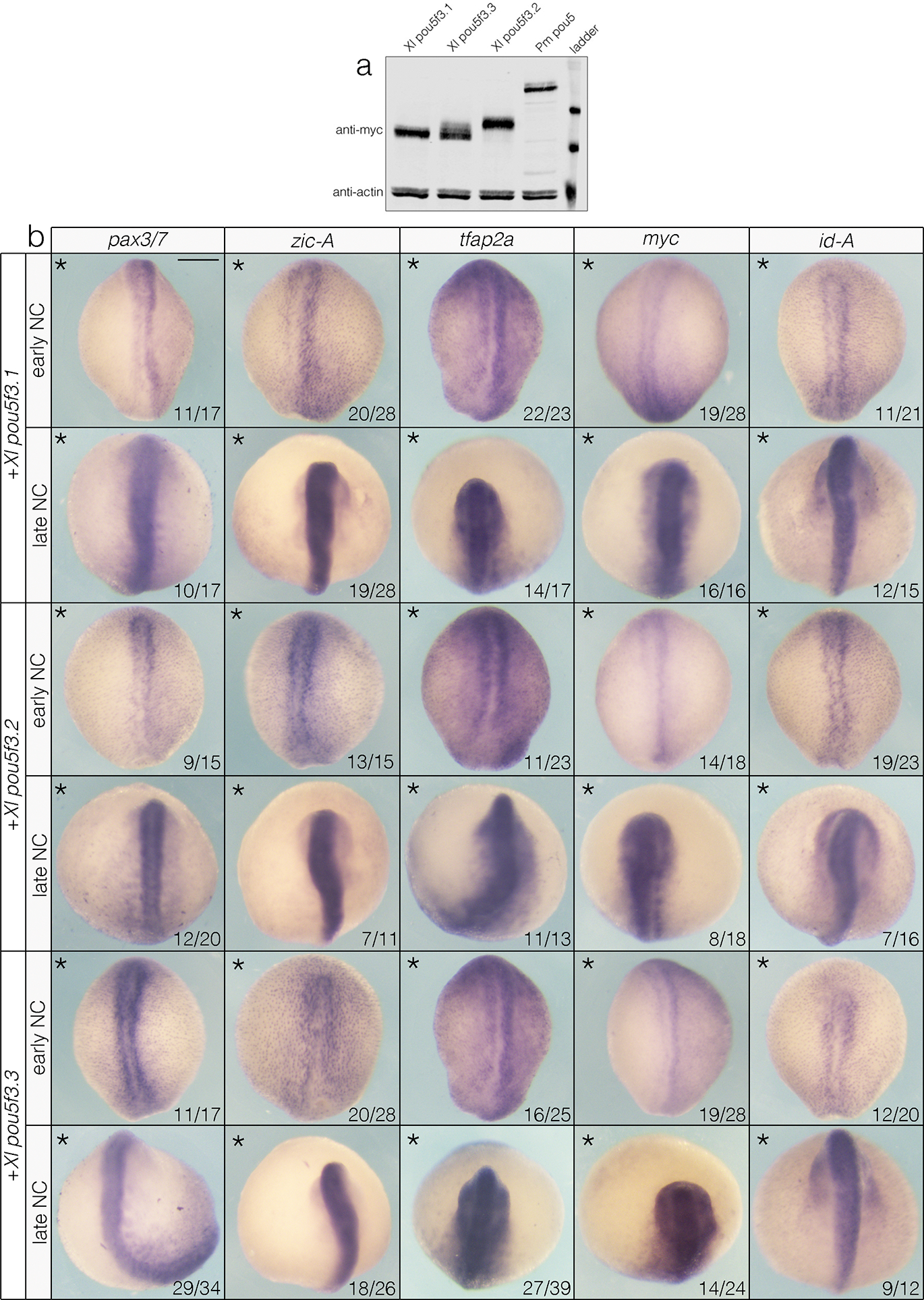 Extended Data Fig. 7.