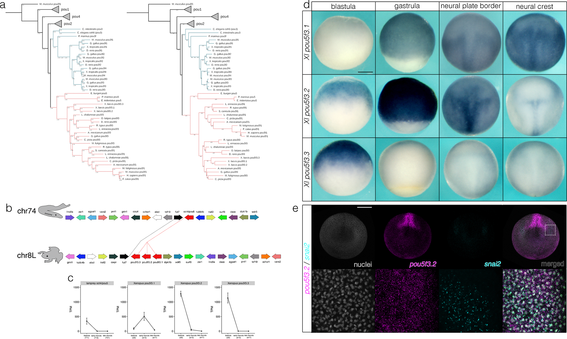 Extended Data Fig 6.