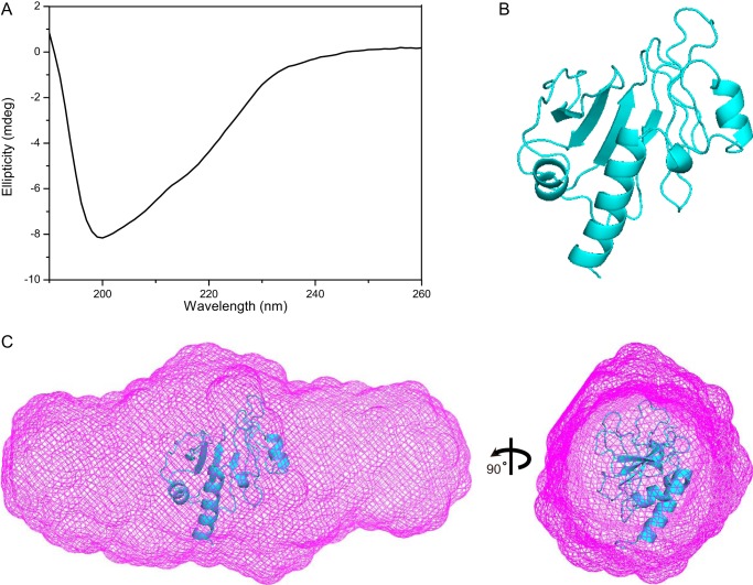 Figure 3.