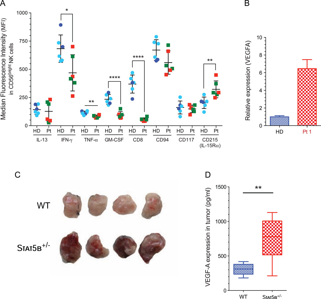 FIG 3: