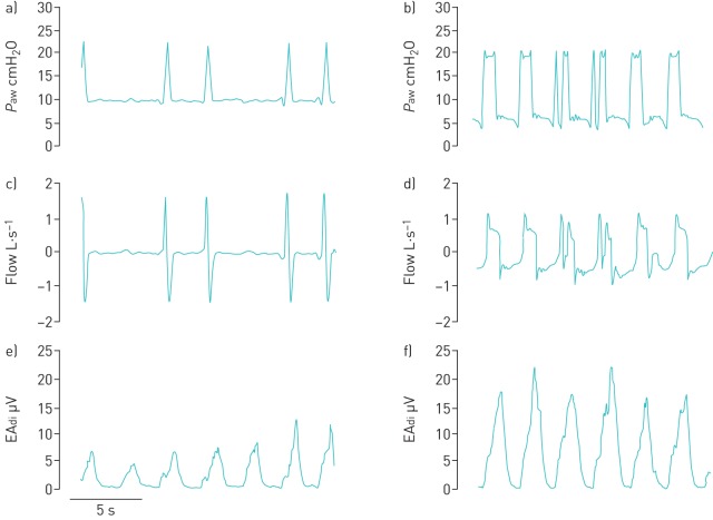 FIGURE 1