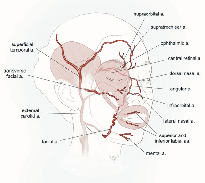 Fig. 2.