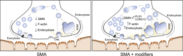 Figure 9