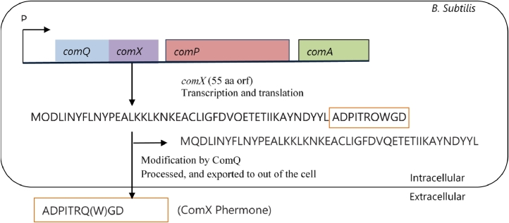 Fig 02