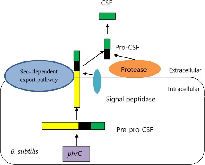 Fig 04