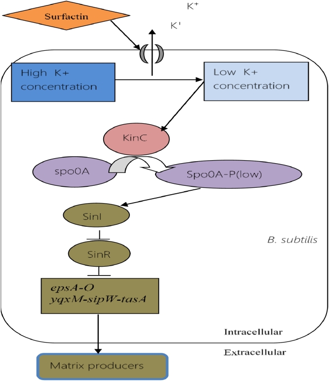 Fig 09