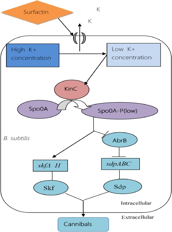 Fig 10