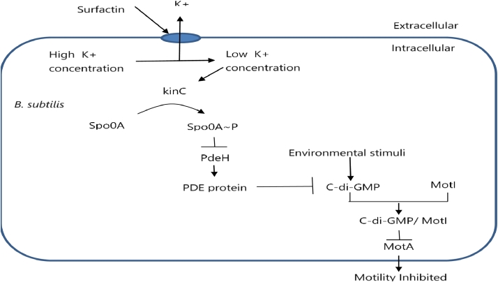 Fig 11