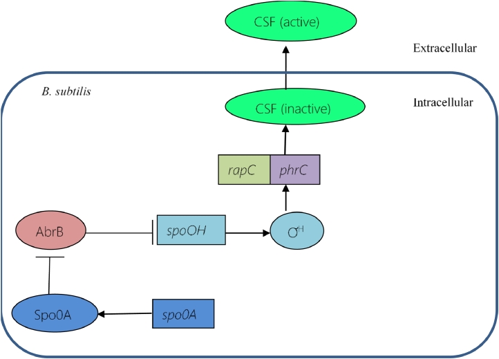 Fig 05