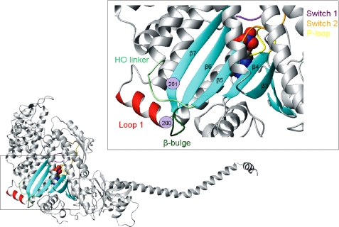 FIGURE 1.