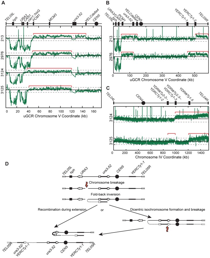 Figure 5