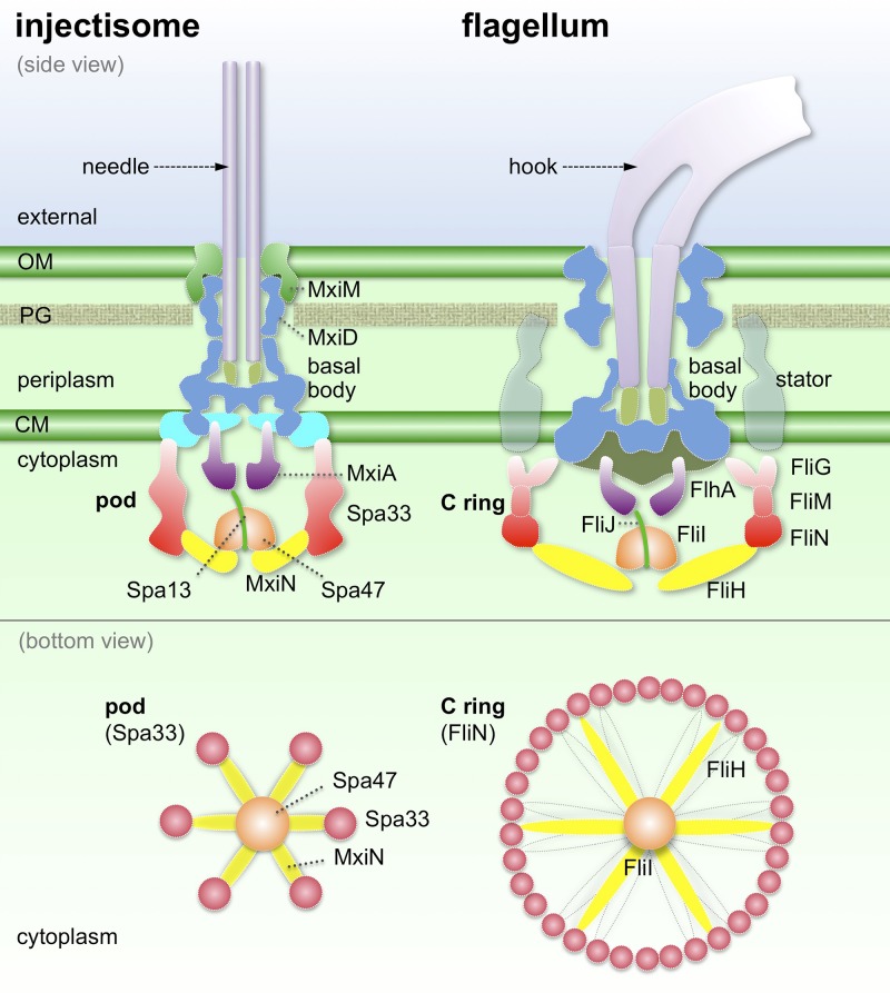 Fig. 4.