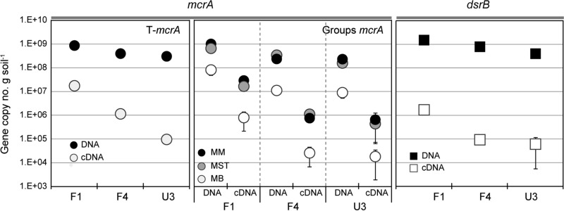 FIG 5