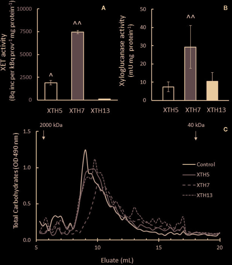 Figure 10