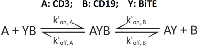 Appendix 1—scheme 3.