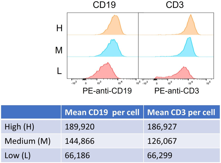 Figure 1—figure supplement 1.