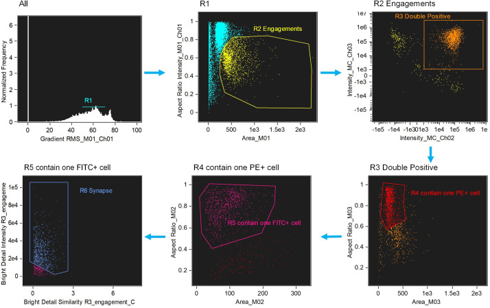 Figure 1—figure supplement 2.