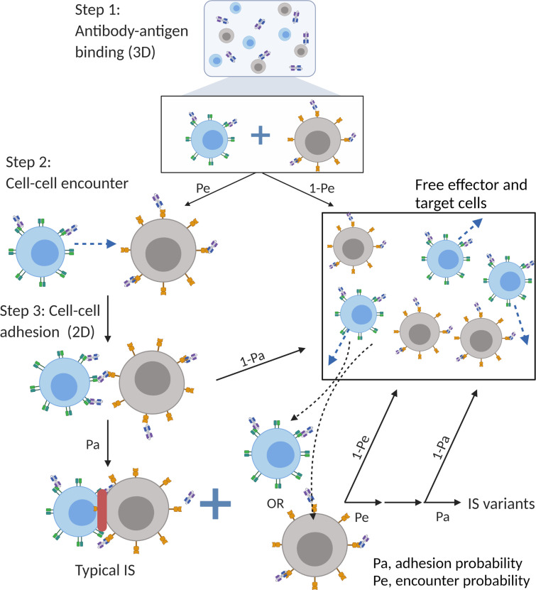 Figure 2.