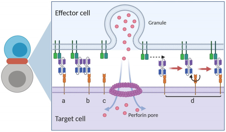 Appendix 1—figure 2.