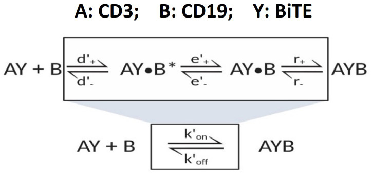 Appendix 1—scheme 4.