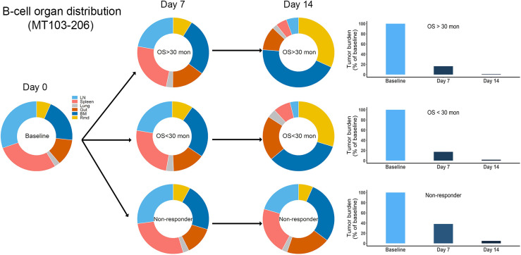 Figure 6—figure supplement 2.