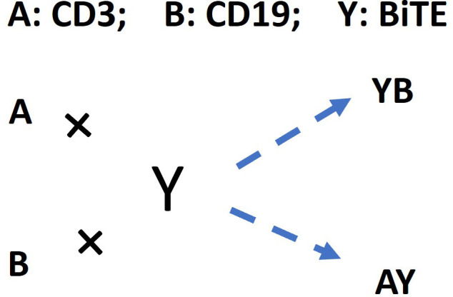 Appendix 1—scheme 1.