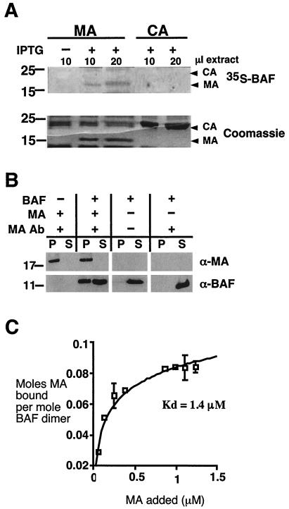 FIG. 4.