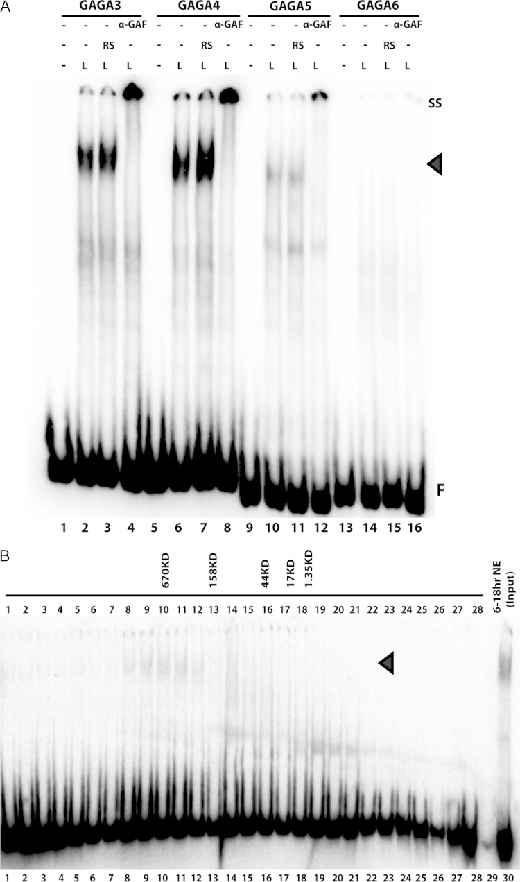 FIG 6