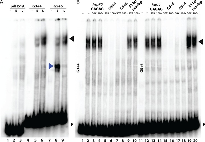 FIG 3