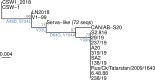 Fig 6