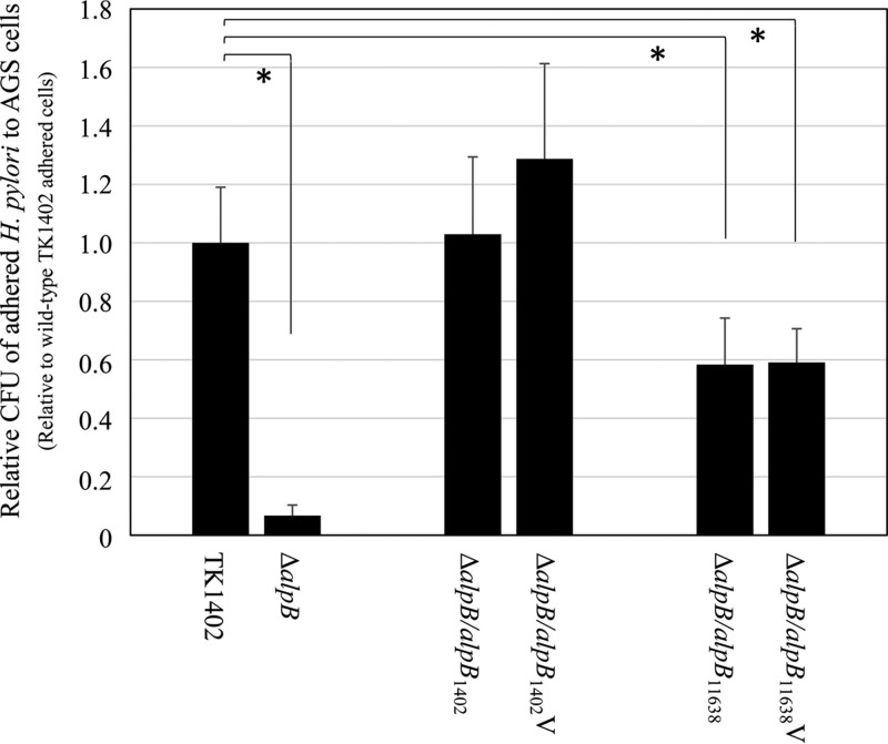 FIG 6