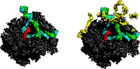 Fig. 16.