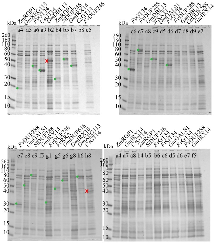 Fig 3