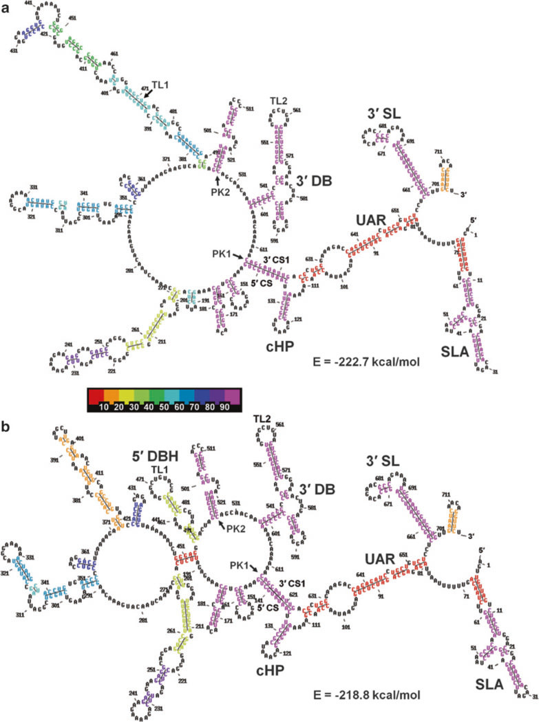 Fig.7