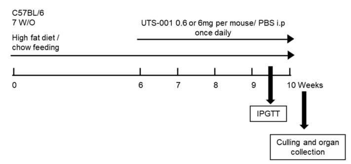 Figure 8