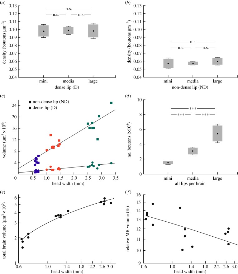 Figure 3.