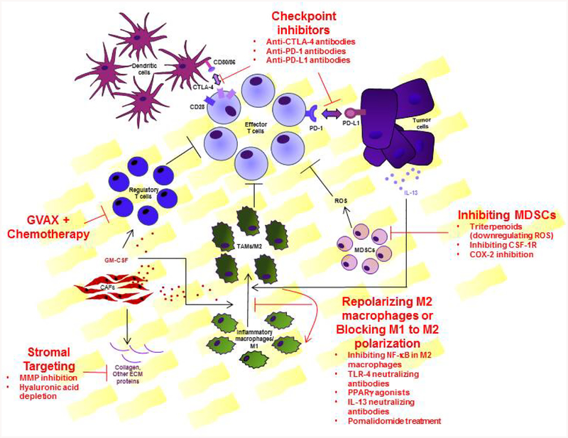 Figure 2: