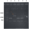Fig. 4