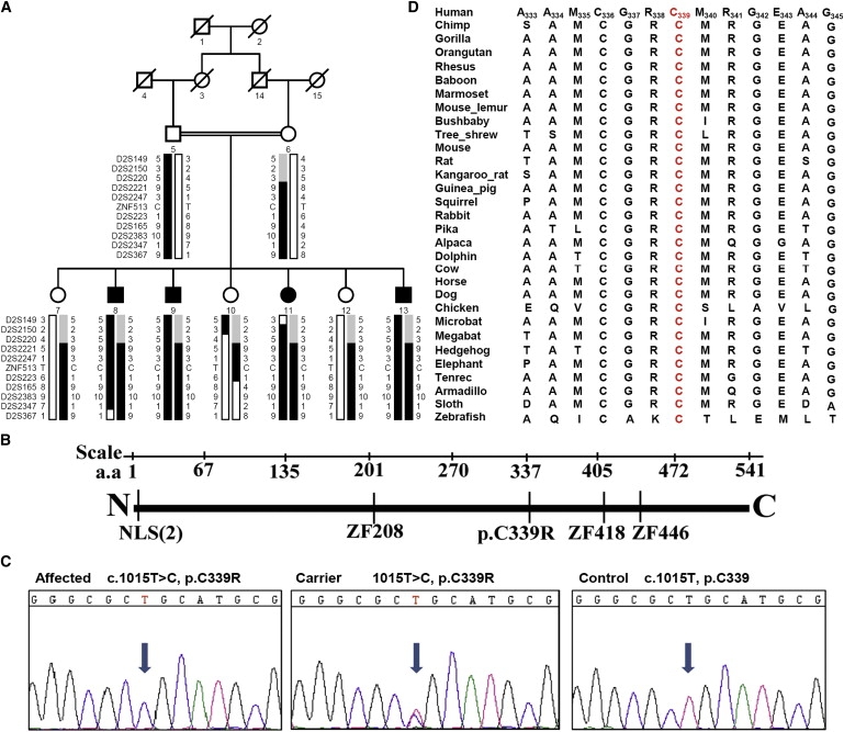 Figure 1