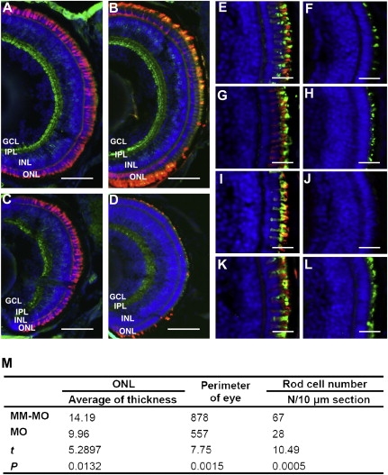 Figure 4