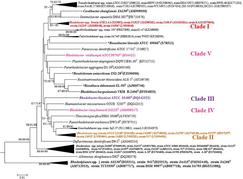 FIGURE 1