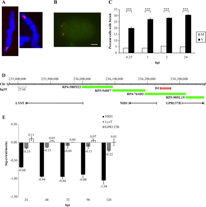 FIG 2