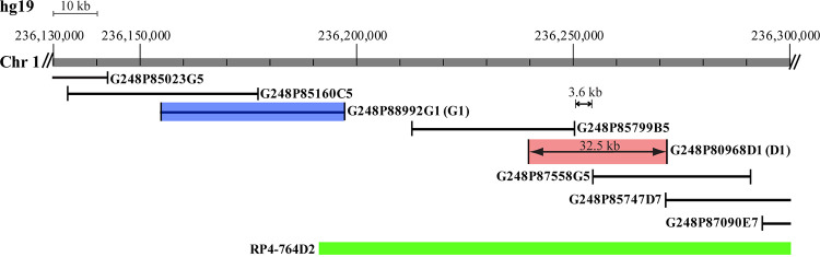 FIG 1