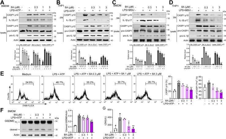 Figure 2