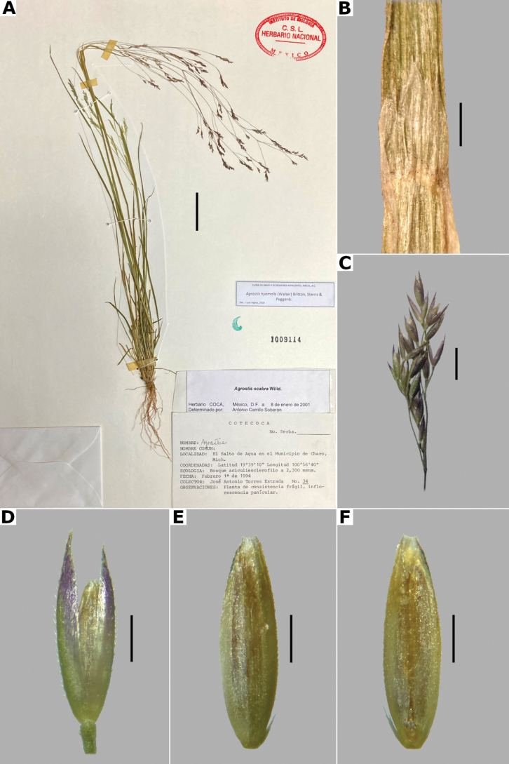 Figure 19.