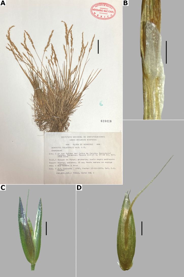 Figure 36.