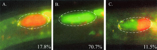 FIG. 5.