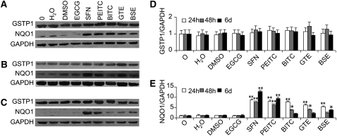 FIGURE 3 